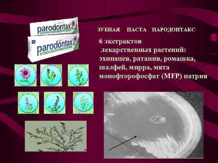 ЗУБНАЯ ПАСТА ПАРОДОНТАКС 6 экстрактов лекарственных растений: эхинацея, ратания, ромашка, шалфей, мирра, мята монофторофосфат