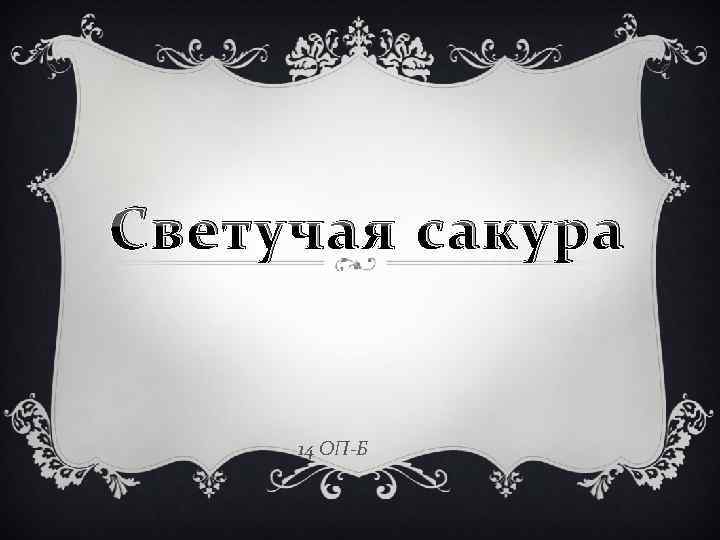 Светучая сакура 14 ОП-Б 