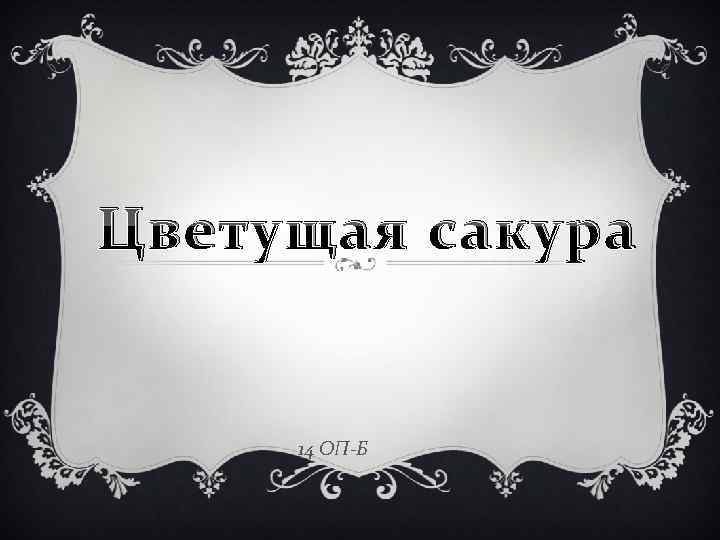 Цветущая сакура 14 ОП-Б 