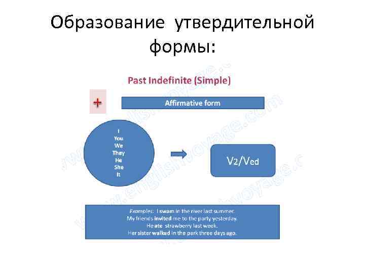 Образование утвердительной формы: 