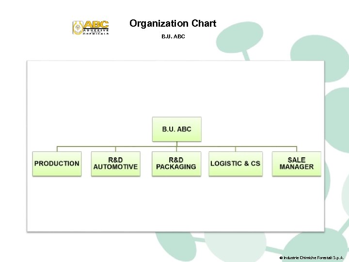 Organization Chart B. U. ABC © Industrie Chimiche Forestali S. p. A. 