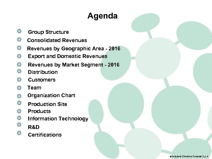 Agenda Group Structure Consolidated Revenues by Geographic Area - 2016 Export and Domestic Revenues