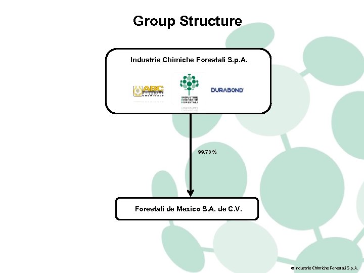 Group Structure Industrie Chimiche Forestali S. p. A. 99, 78 % Forestali de Mexico