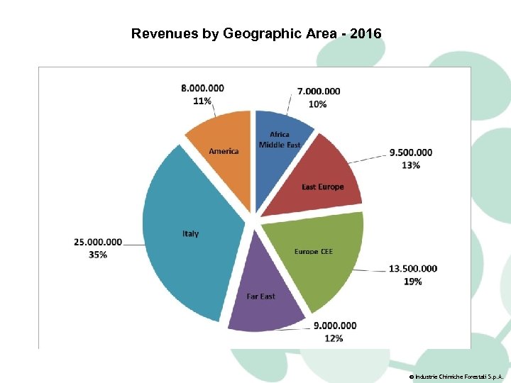 Revenues by Geographic Area - 2016 © Industrie Chimiche Forestali S. p. A. 