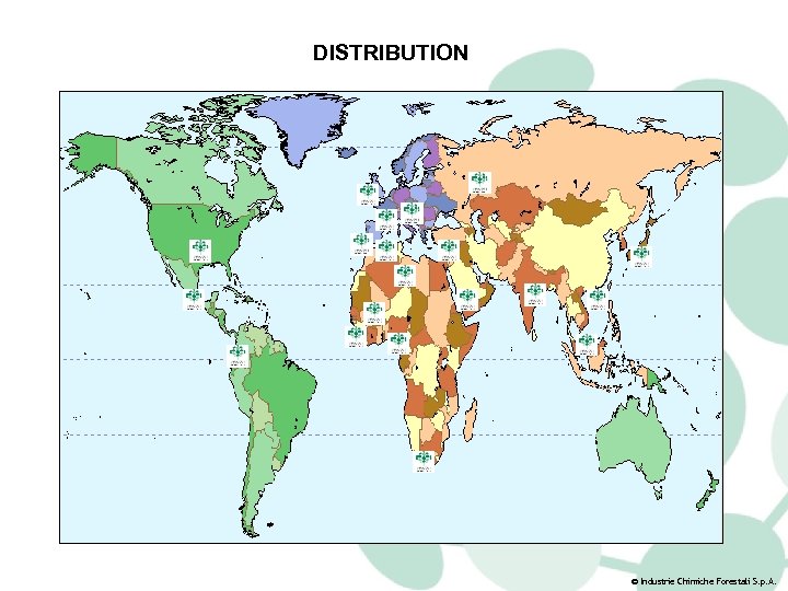 DISTRIBUTION © Industrie Chimiche Forestali S. p. A. 