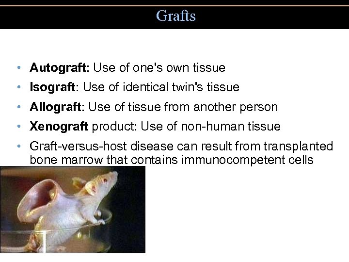 Grafts • Autograft: Use of one's own tissue • Isograft: Use of identical twin's