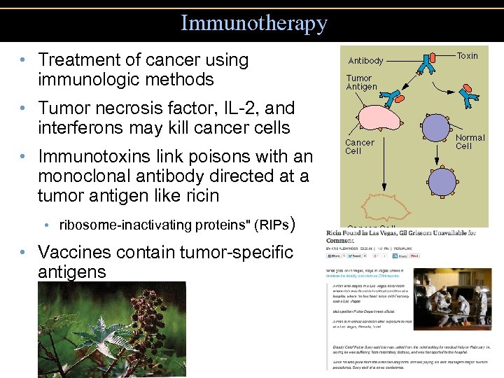 Immunotherapy • Treatment of cancer using immunologic methods • Tumor necrosis factor, IL-2, and