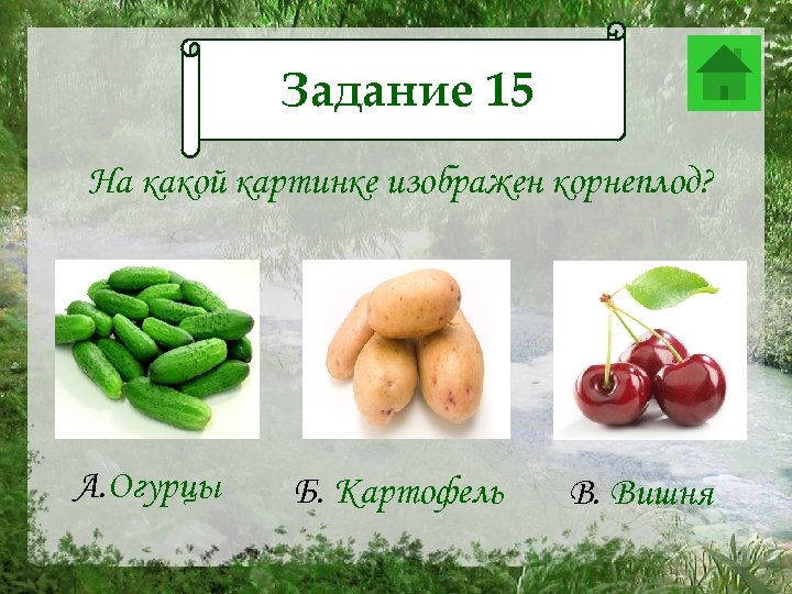 Задание 15 Задание 12 На какой картинке изображен корнеплод? А. Огурцы Б. Картофель В.