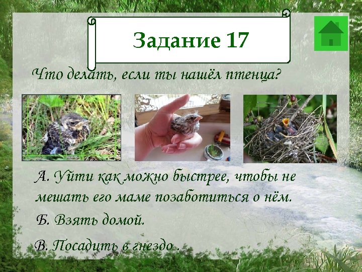 Задание 16 Задание 17 Что делать, если ты нашёл птенца? А. Уйти как можно