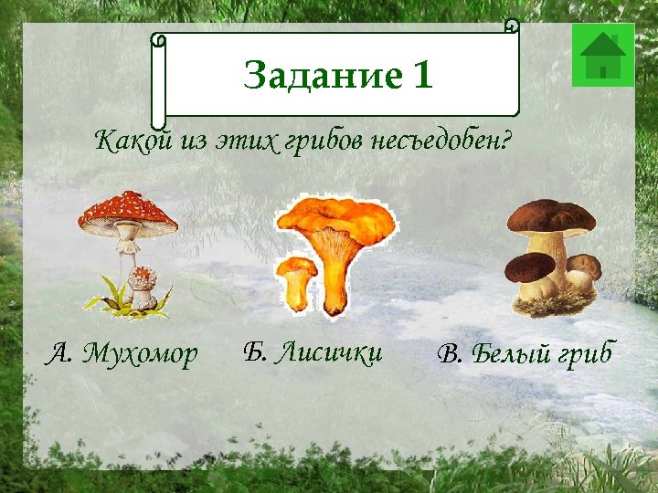 Задание 12 Какой из этих грибов несъедобен? А. Мухомор Б. Лисички В. Белый гриб