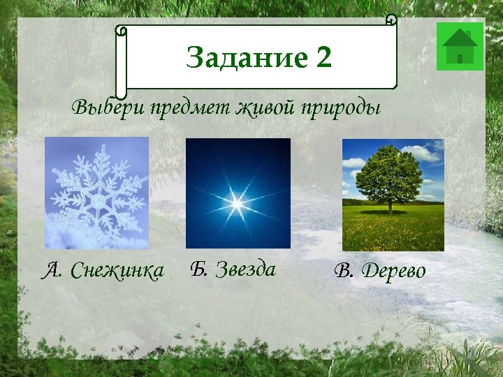 Задание 2 Задание 12 Выбери предмет живой природы А. Снежинка Б. Звезда В. Дерево