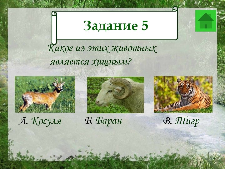 Задание 5 Задание 12 Какое из этих животных является хищным? А. Косуля Б. Баран
