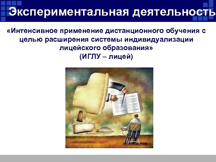 Экспериментальная деятельность «Интенсивное применение дистанционного обучения с целью расширения системы индивидуализации лицейского образования» (ИГЛУ