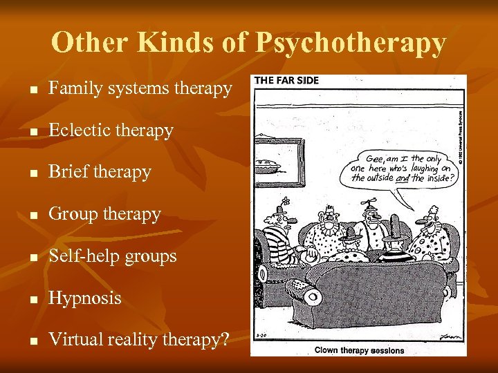 Other Kinds of Psychotherapy n Family systems therapy n Eclectic therapy n Brief therapy