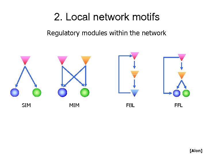 2. Local network motifs Regulatory modules within the network SIM MIM FBL FFL [Alon]