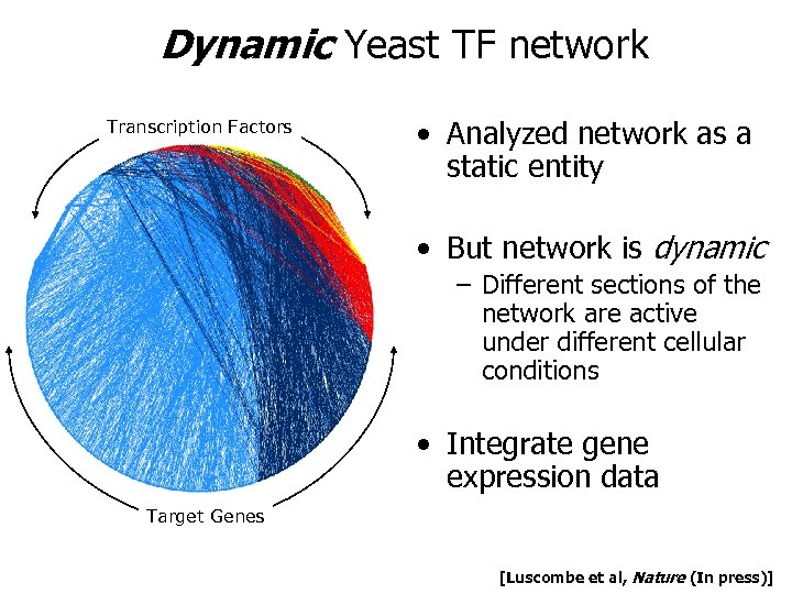 Dynamic Yeast TF network Transcription Factors • Analyzed network as a static entity •