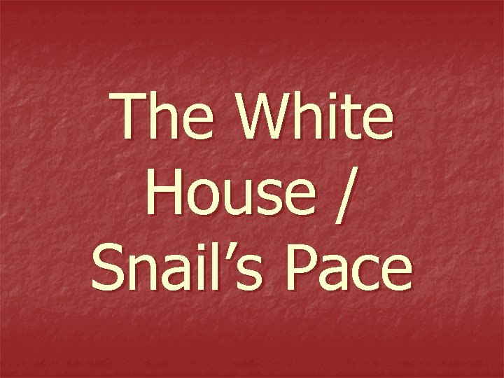 The White House / Snail’s Pace 