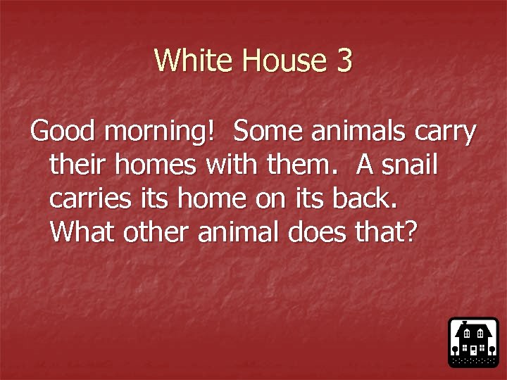 White House 3 Good morning! Some animals carry their homes with them. A snail