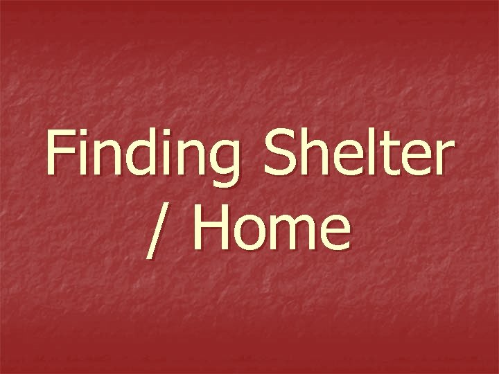 Finding Shelter / Home 