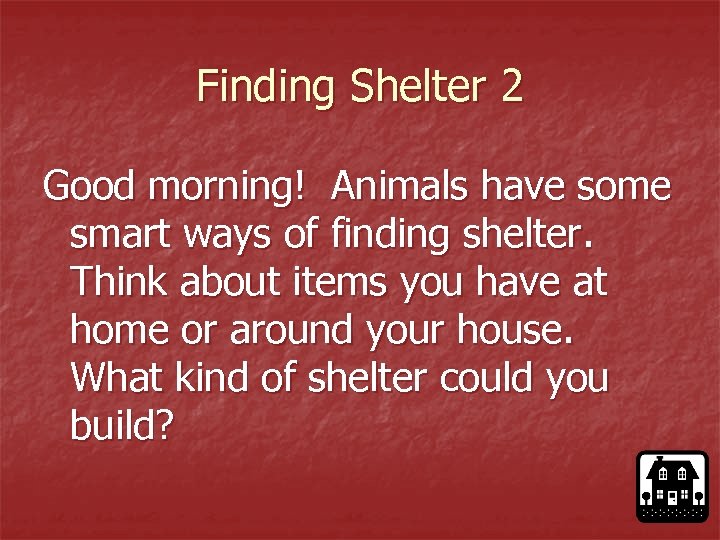 Finding Shelter 2 Good morning! Animals have some smart ways of finding shelter. Think