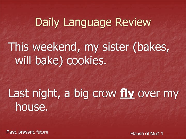 Daily Language Review This weekend, my sister (bakes, will bake) cookies. Last night, a