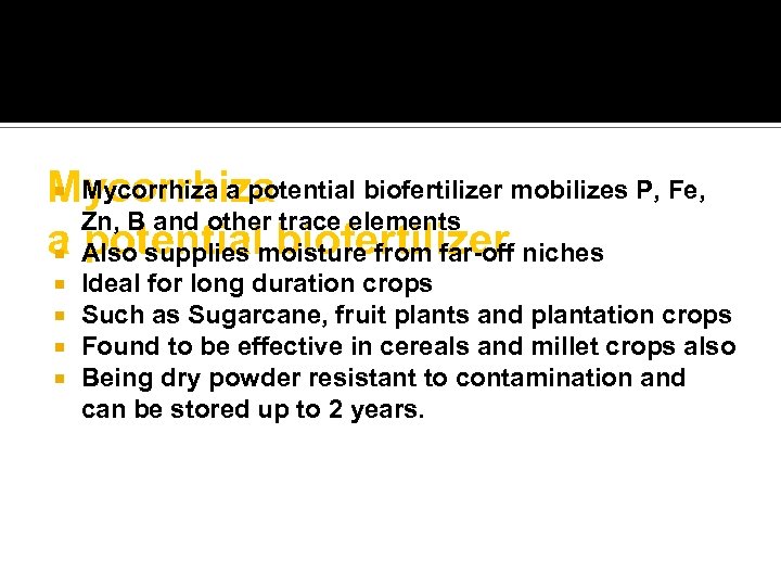  Mycorrhiza a potential biofertilizer mobilizes P, Fe, Mycorrhiza Zn, B and other trace