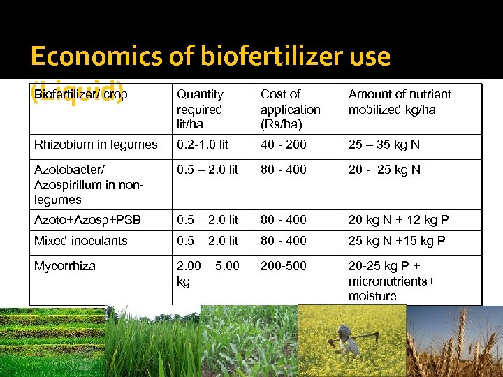 Economics of biofertilizer use Biofertilizer/ crop Quantity Cost of Amount of nutrient (Liquid) required