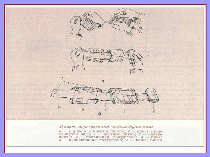 Учебный план сибгму медицинская кибернетика