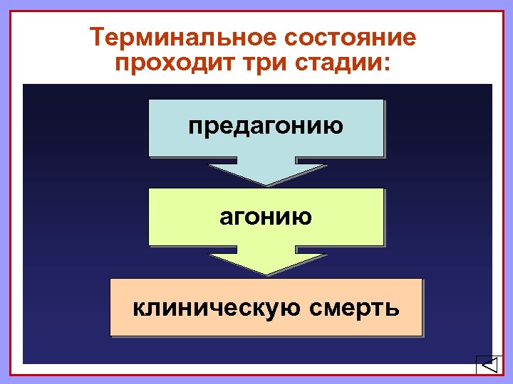 Терминальное состояние проходит три стадии: предагонию клиническую смерть 