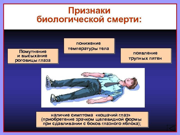 Признаки биологической смерти: Помутнение и высыхание роговицы глаза понижение температуры тела появление трупных пятен