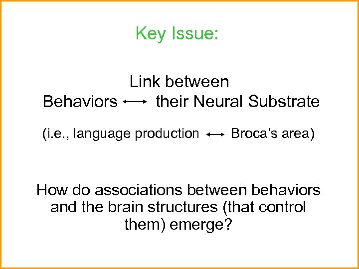 Key Issue: Link between Behaviors their Neural Substrate (i. e. , language production Broca’s