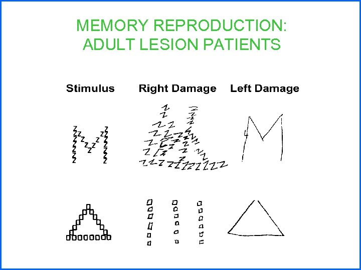 MEMORY REPRODUCTION: ADULT LESION PATIENTS 