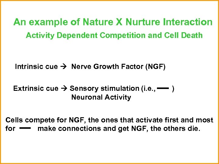 An example of Nature X Nurture Interaction Activity Dependent Competition and Cell Death Intrinsic