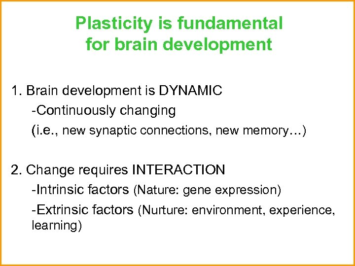 Plasticity is fundamental for brain development 1. Brain development is DYNAMIC -Continuously changing (i.
