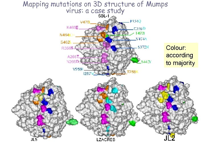 Mapping mutations on 3 D structure of Mumps virus: a case study Colour: according