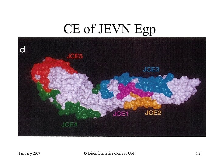CE of JEVN Egp January 2 K 7 © Bioinformatics Centre, Uo. P 52