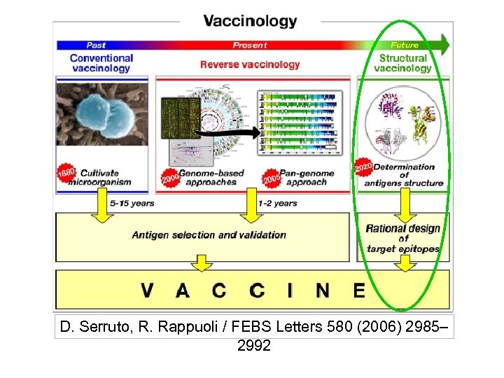 D. Serruto, R. Rappuoli / FEBS Letters 580 (2006) 2985– 2992 