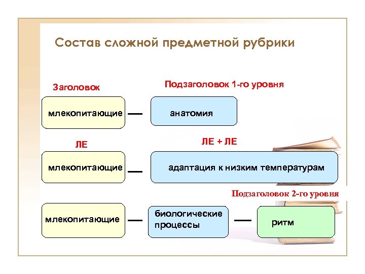 Состав сложной предметной рубрики Заголовок млекопитающие ЛЕ млекопитающие Подзаголовок 1 -го уровня анатомия ЛЕ