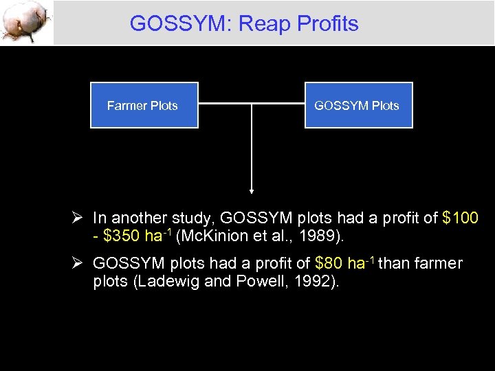 GOSSYM: Reap Profits Farmer Plots GOSSYM Plots Ø In another study, GOSSYM plots had