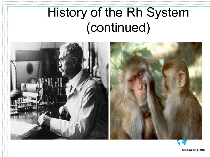 History of the Rh System (continued) 