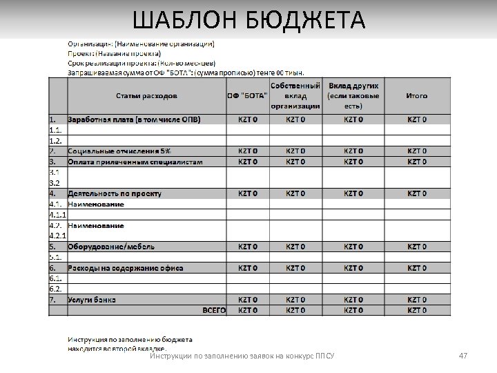 ШАБЛОН БЮДЖЕТА Инструкции по заполнению заявок на конкурс ППСУ 47 