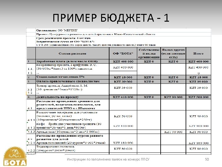 ПРИМЕР БЮДЖЕТА - 1 Инструкции по заполнению заявок на конкурс ППСУ 50 