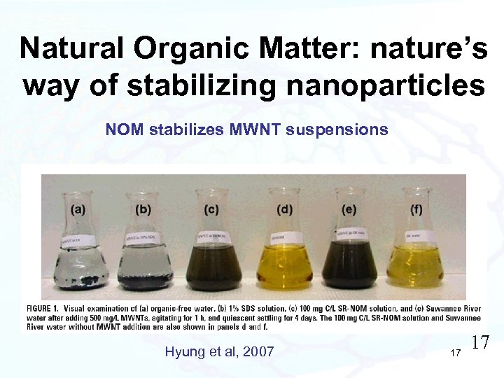 Natural Organic Matter: nature’s way of stabilizing nanoparticles NOM stabilizes MWNT suspensions Hyung et