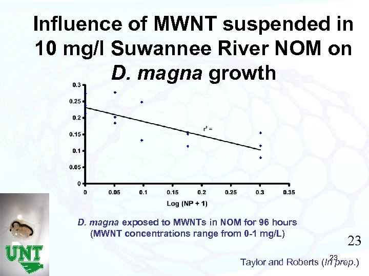 Influence of MWNT suspended in 10 mg/l Suwannee River NOM on D. magna growth
