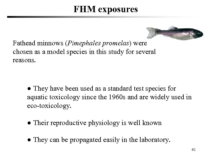 FHM exposures Fathead minnows (Pimephales promelas) were chosen as a model species in this