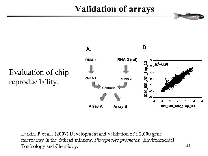 Validation of arrays A. B. Evaluation of chip reproducibility. Larkin, P et al. ,
