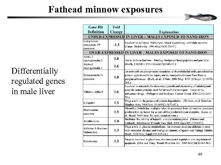 Fathead minnow exposures Differentially regulated genes in male liver 49 