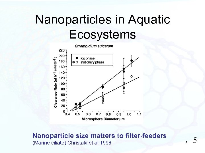 Nanoparticles in Aquatic Ecosystems Nanoparticle size matters to filter-feeders (Marine ciliate) Christaki et al