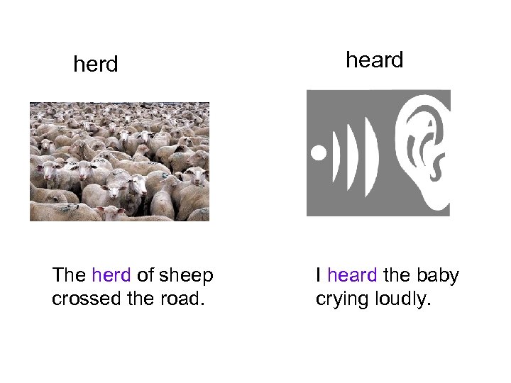herd The herd of sheep crossed the road. heard I heard the baby crying