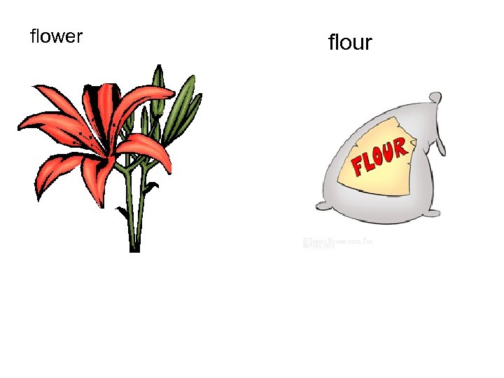 flower flour 